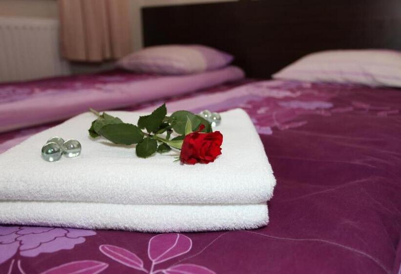 بنسيون Willa Czarownica