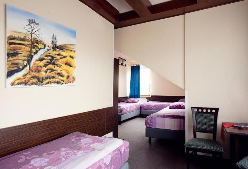 بنسيون Willa Czarownica