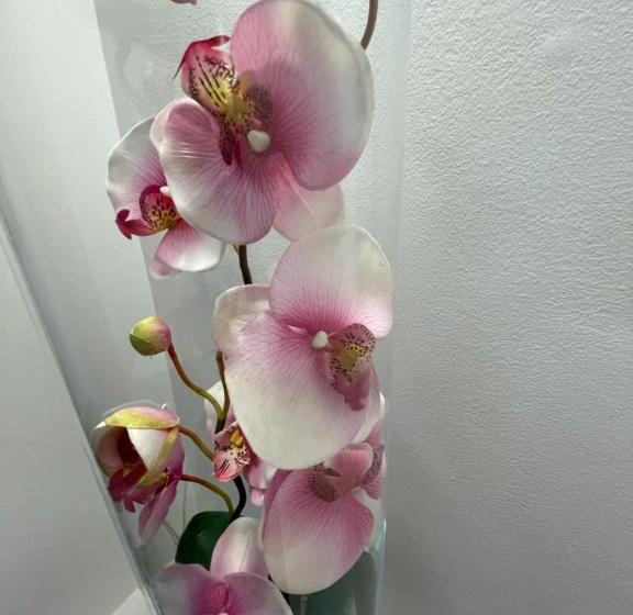 بنسيون Willa Mira 200 Metrów Od Morza