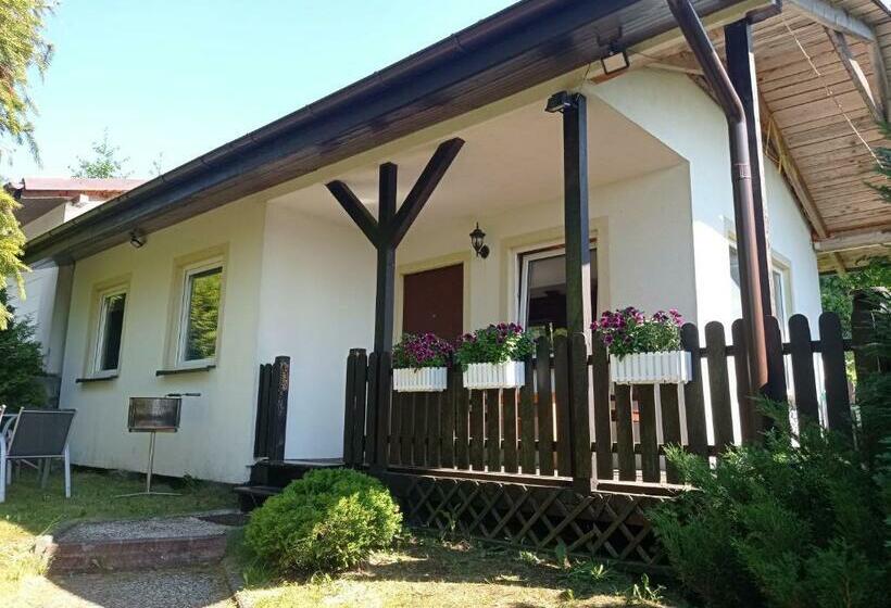 Пансион Willa Mm Kaszuby