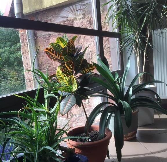 אתר נופש Centrum Turystyki Niekonwencjonalnej