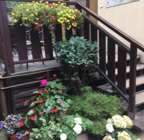 אתר נופש Centrum Turystyki Niekonwencjonalnej