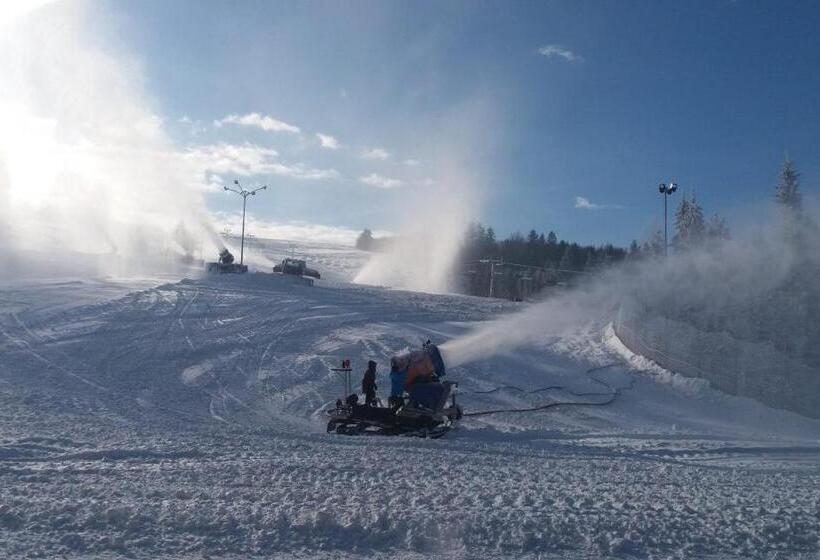리조트 Kompleks Zagroń Istebna