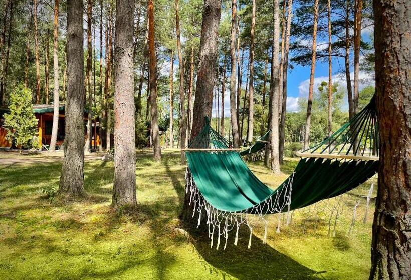 منتجع Ośrodek Wypoczynkowy Julia W Samociążku