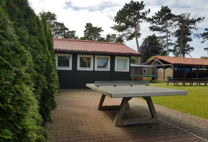 منتجع Ośrodek Wczasowy Marevita