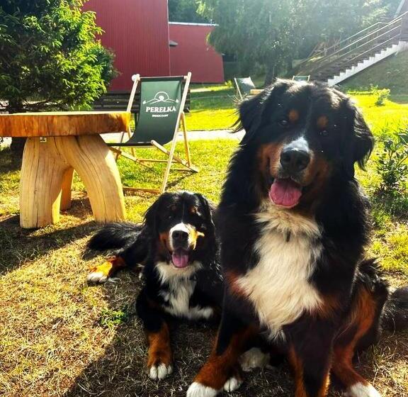 リゾートホテル Perełka Bieszczady