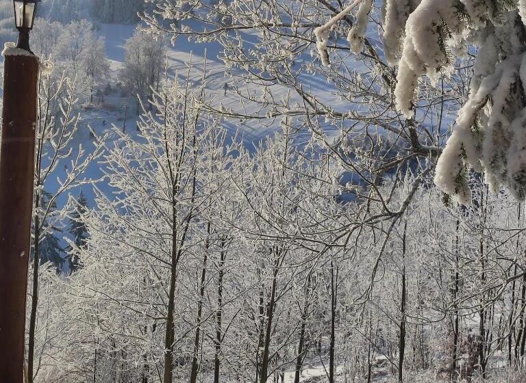 リゾートホテル Zbójnicka Chata