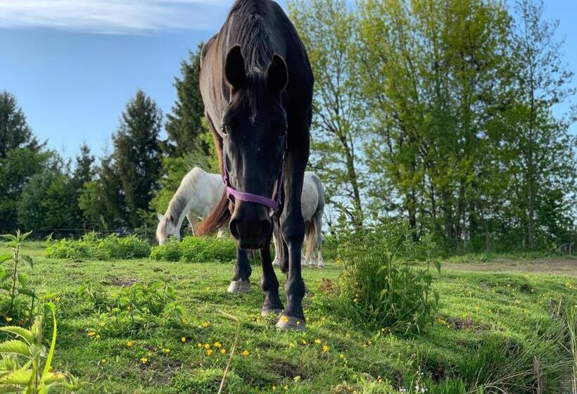 הוסטל Chata Pogaduchy