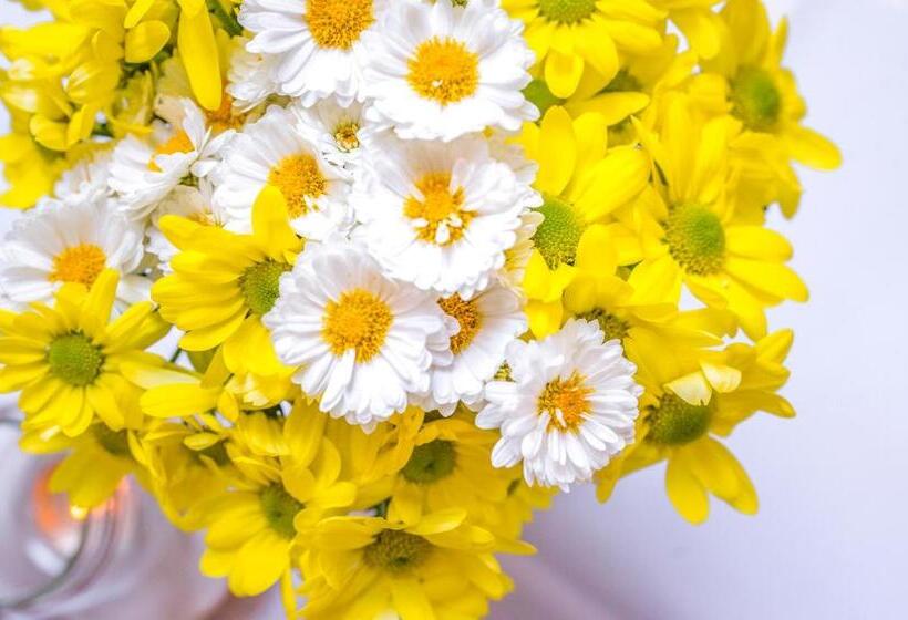 הוסטל Chata Pogaduchy