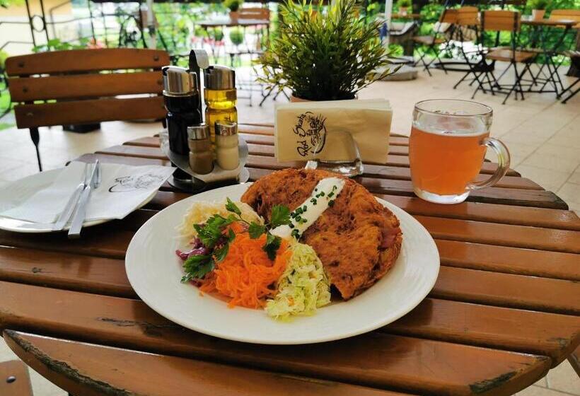 旅馆 I Restauracja Pod Skałą Jasło