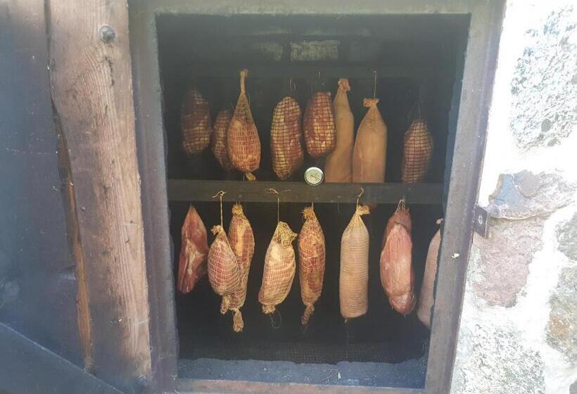 هاستل Ik Wulpink Majdy Olsztyn