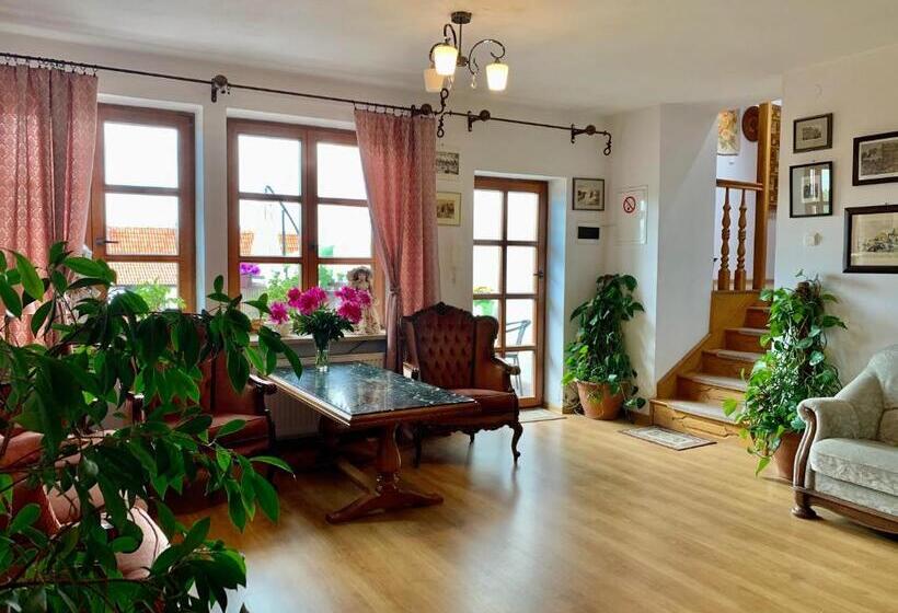 هاستل Kamienica Biała