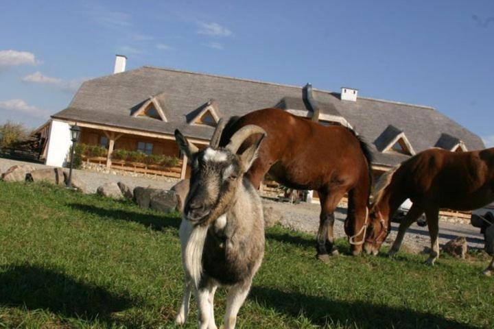 호스텔 Karczma Taberska