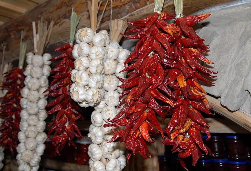 ユースホステル Krakowiacy I Górale