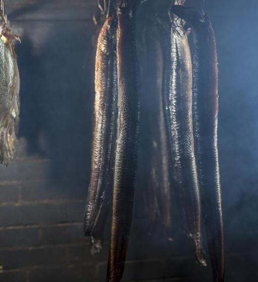 ユースホステル Krakowiacy I Górale