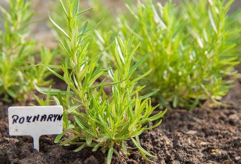 호스텔 Pod Wzgórzem Bed & Breakfast