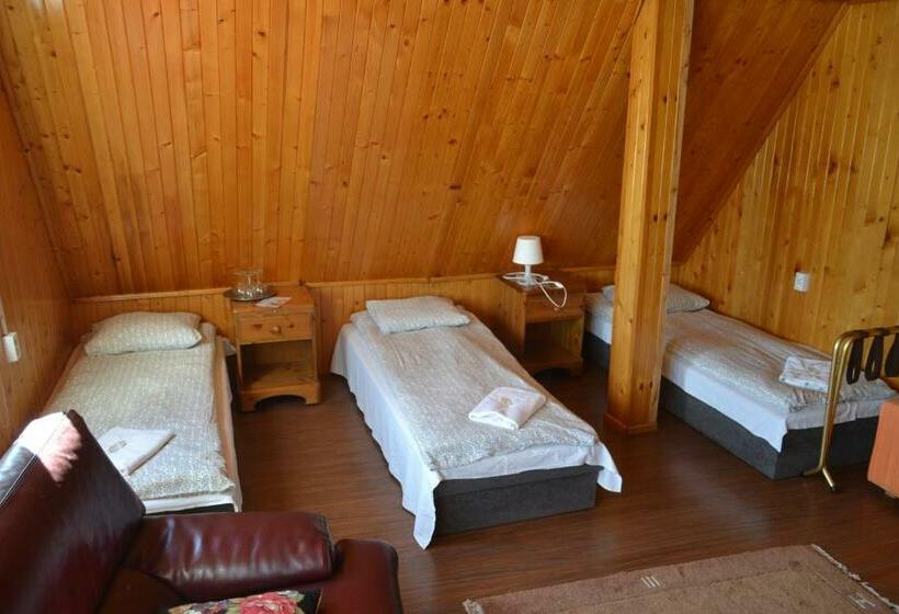 Общежитие Zajazd Orchidea