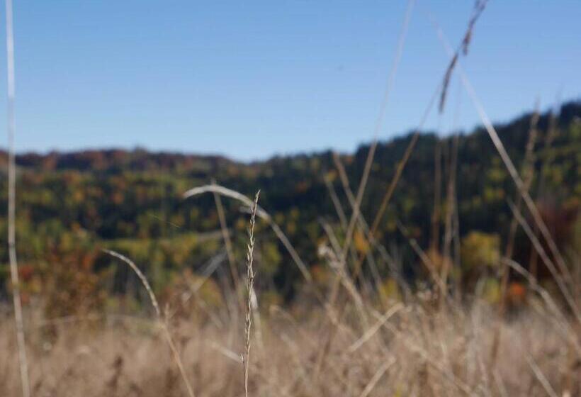 Apartamenty Przy Hotelu żywieckim