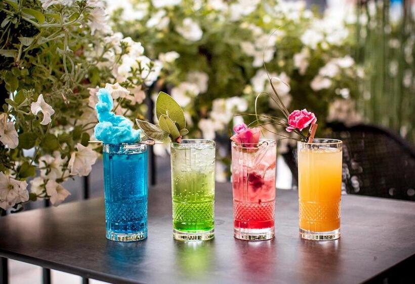 Apartamenty Sowa Bydgoszcz