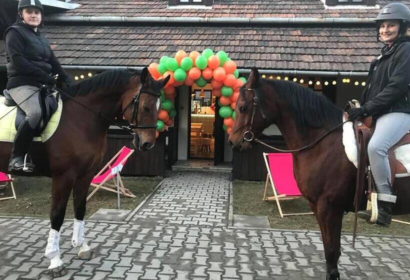 Apartamenty W Dworku Cheval