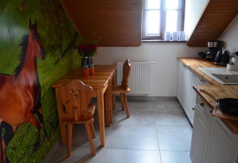 Apartamenty W Dworku Cheval