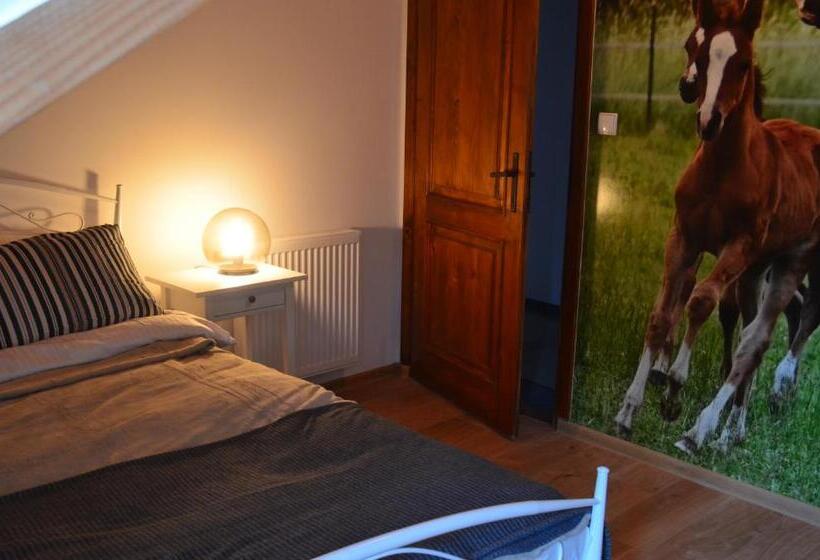 Apartamenty W Dworku Cheval