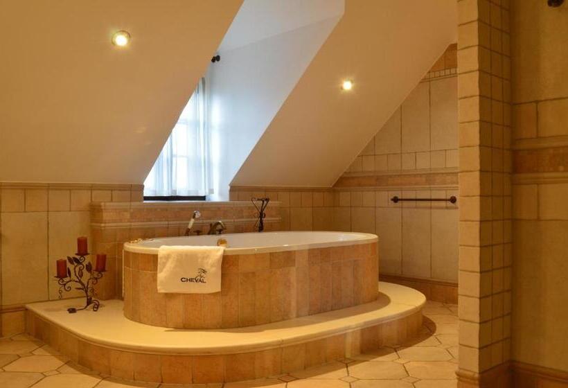 Apartamenty W Dworku Cheval