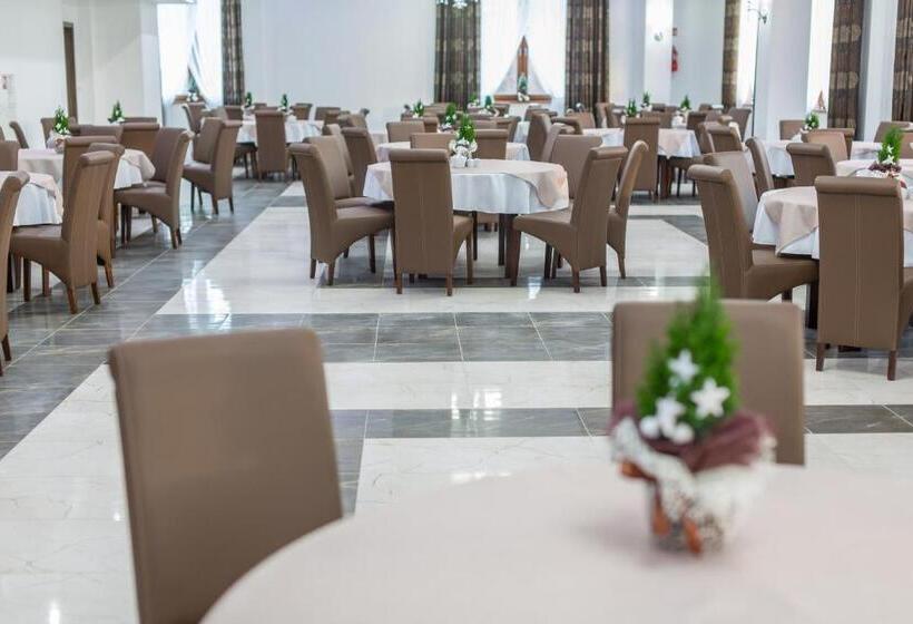 ベッドアンドブレックファースト Borowy Dwór  Biznes, Spa & Fun