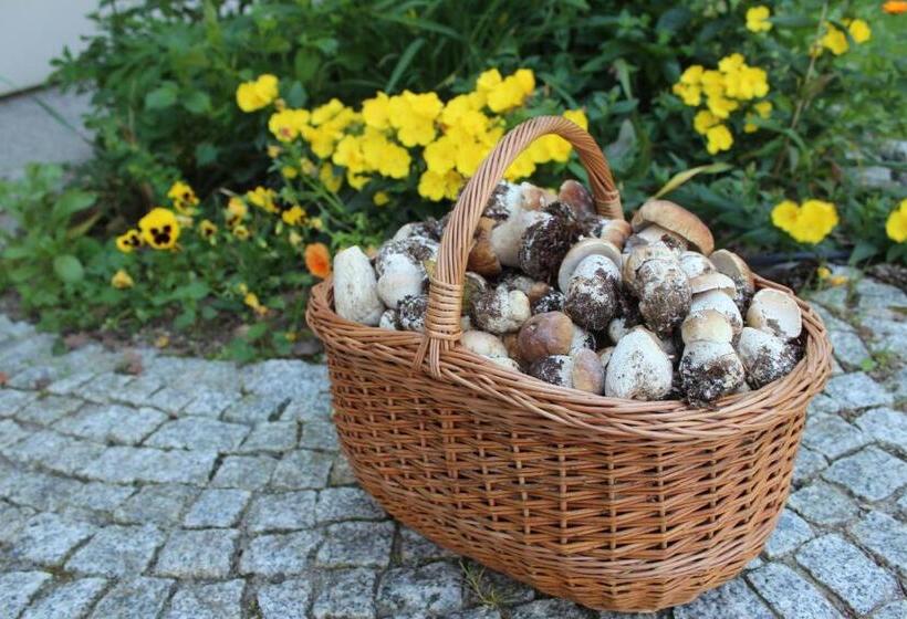 ベッドアンドブレックファースト Dom Malowany