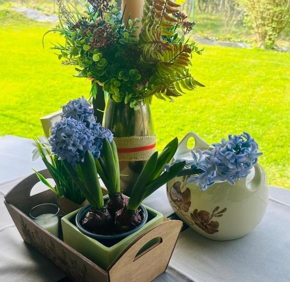 צימר Dom Supełek