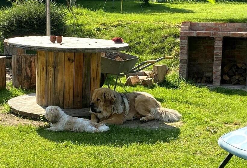 צימר Dom Supełek