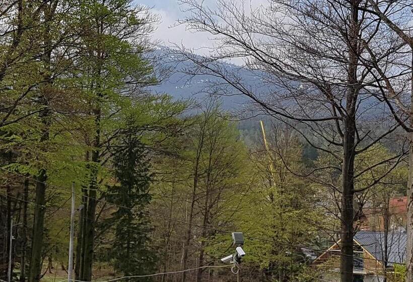 ベッドアンドブレックファースト Dom Wczasowy Przy Skałkach