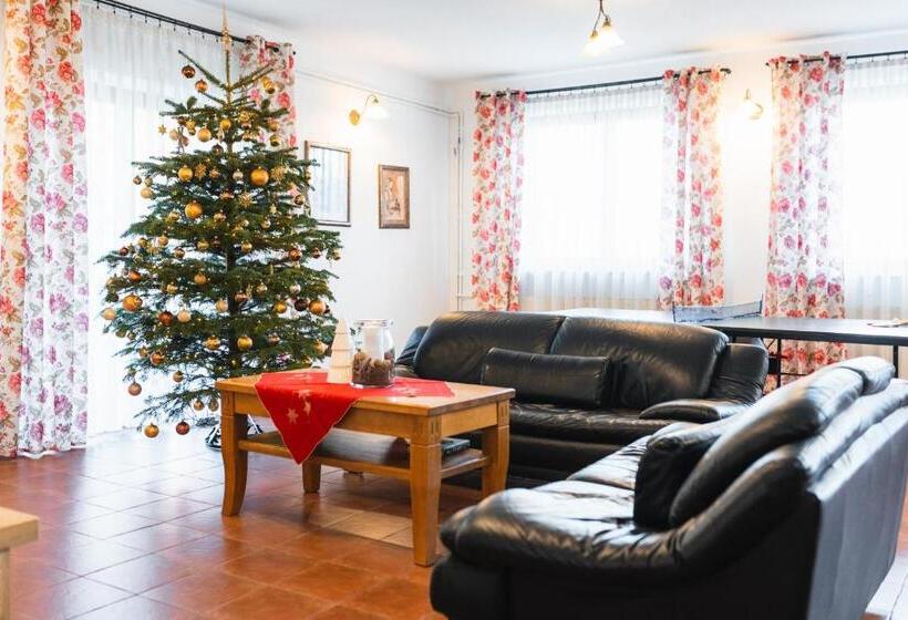 تختخواب و صبحانه Dom Wypocz Pod Litwinką Apartamenty