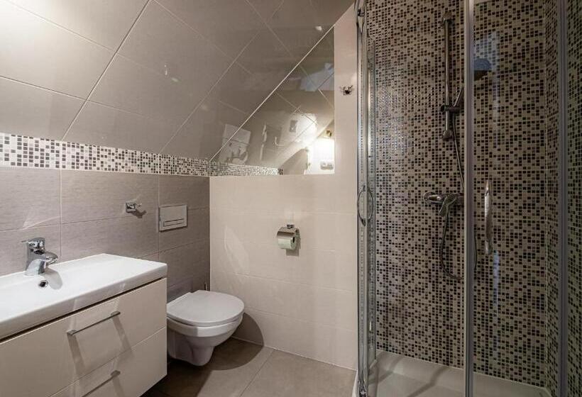 تختخواب و صبحانه Dom Wypocz Pod Litwinką Apartamenty