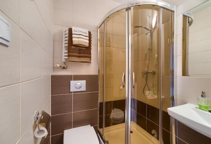 تختخواب و صبحانه Dom Wypocz Pod Litwinką Apartamenty