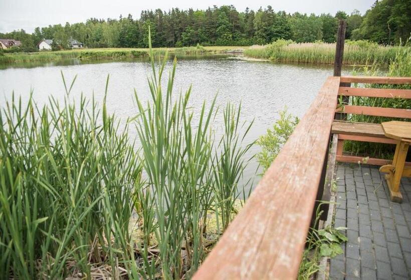 ベッドアンドブレックファースト Gościniec Czapla