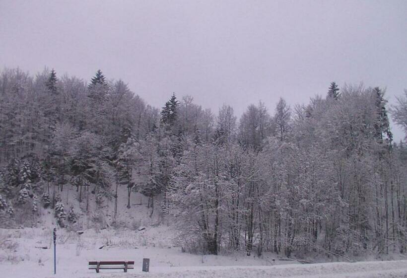 تختخواب و صبحانه Gosciniec Wenecja