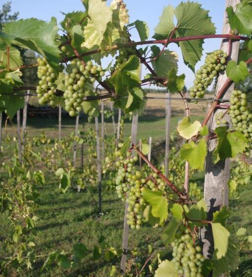 住宿加早餐  Noclegi Dwór Szlachecki Biedaczów