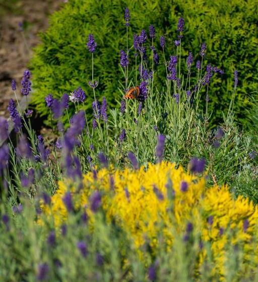 צימר Oaza Mazurska   Willa Lasek