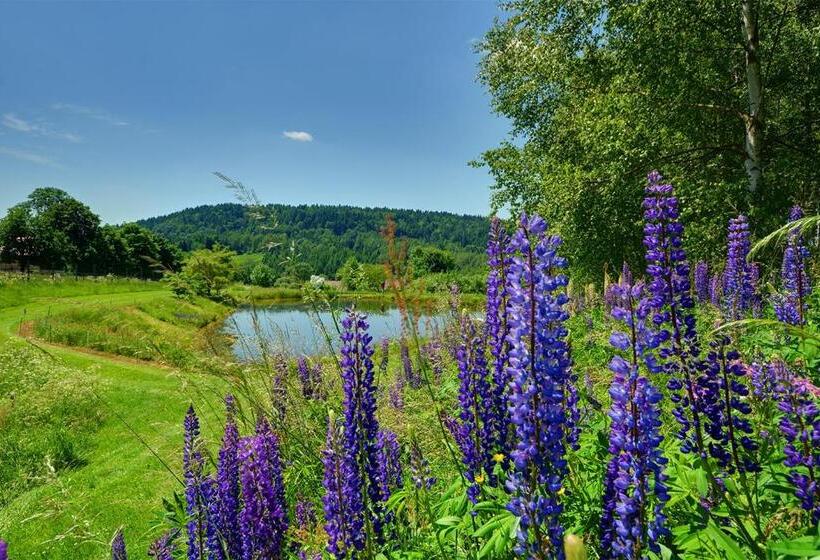 住宿加早餐  Rezydencja Bukowy Dwór