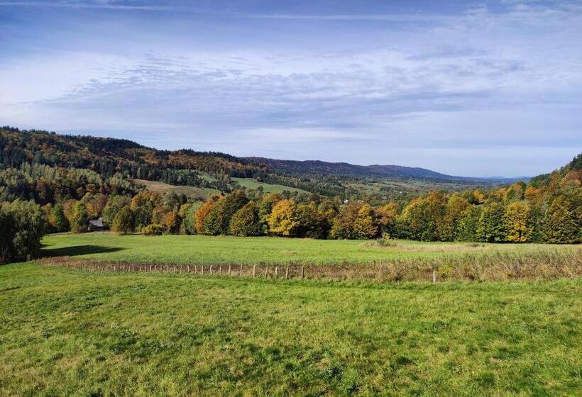 住宿加早餐  Rezydencja Bukowy Dwór