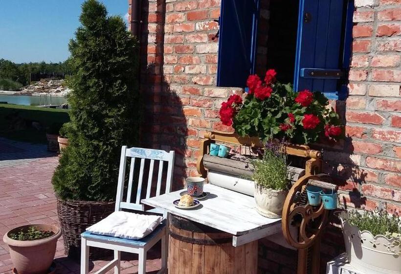 Bed and Breakfast Siedlisko Nad Miedwiem