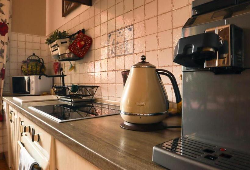 Bed and Breakfast Siedlisko Nad Miedwiem