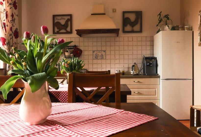 Bed and Breakfast Siedlisko Nad Miedwiem