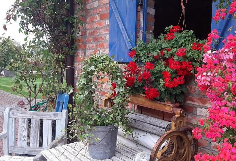 Bed and Breakfast Siedlisko Nad Miedwiem