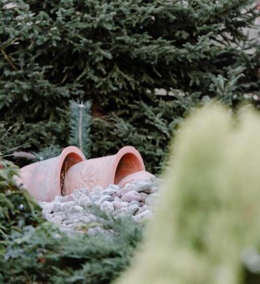 Bed and Breakfast Siedlisko Nad Miedwiem