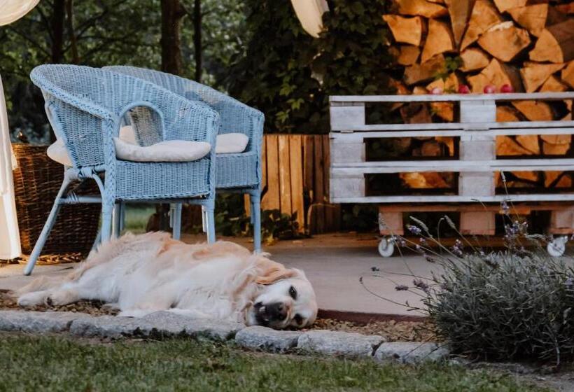 Bed and Breakfast Siedlisko Nad Miedwiem