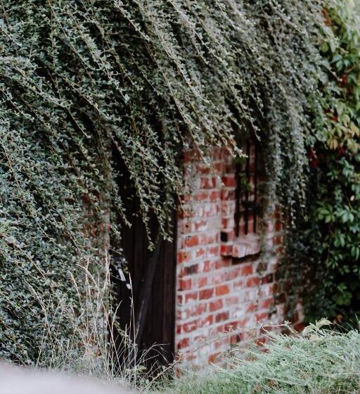 Bed and Breakfast Siedlisko Nad Miedwiem