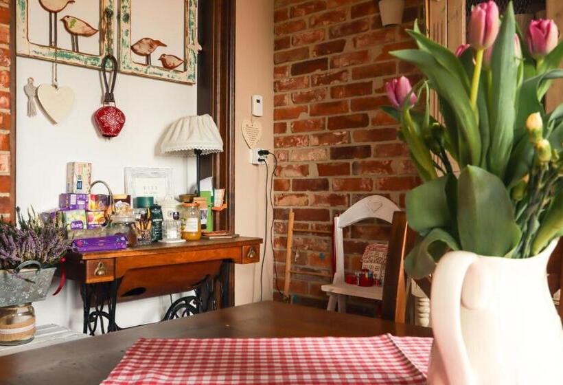 Bed and Breakfast Siedlisko Nad Miedwiem