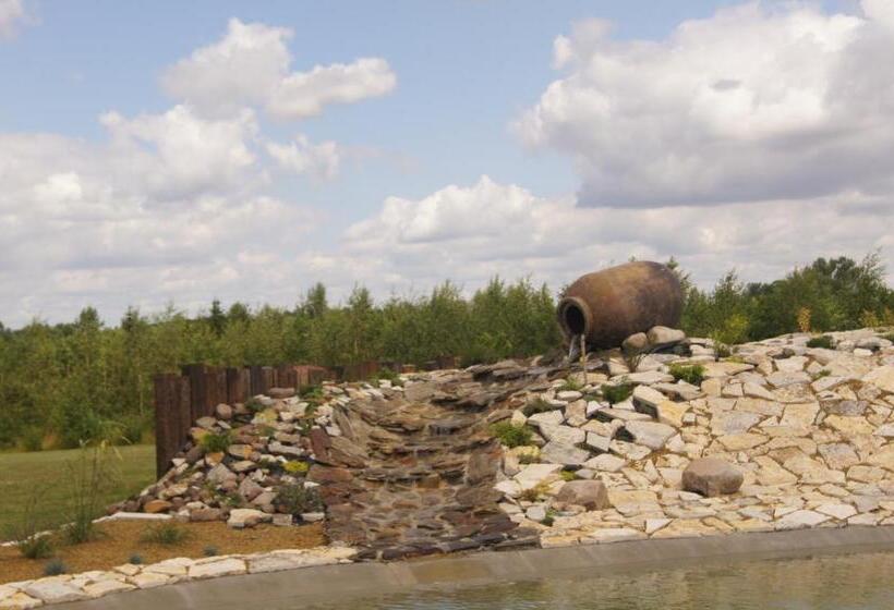 Bed and Breakfast Siedlisko Nad Miedwiem